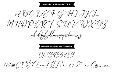 BrightDaily | Modern & Stylized Handwriting Script font