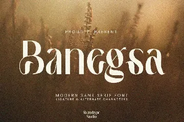 Banegsa font