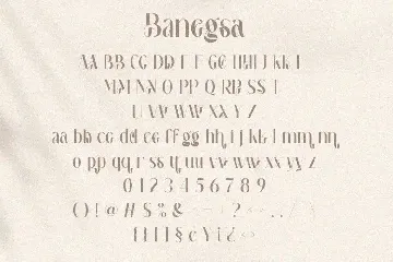 Banegsa font