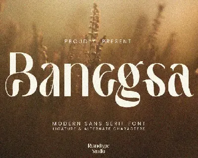 Banegsa font