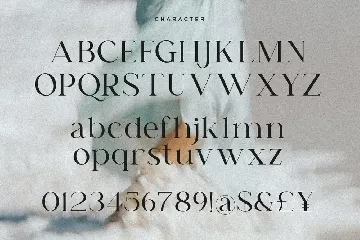 Cary | Classy Serif Font