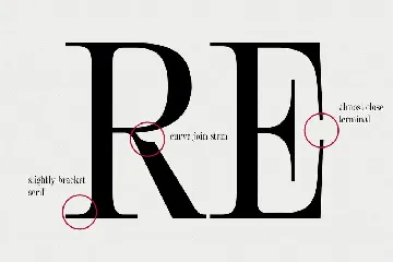 Rasteira Display Serif Font