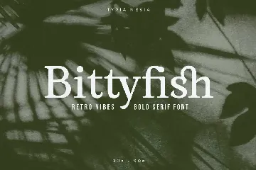 Bittyfish - Retro Vibes Bold Serif font
