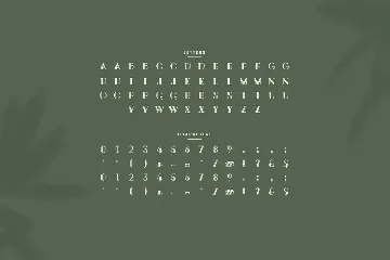 Befpeh - Vintage Font