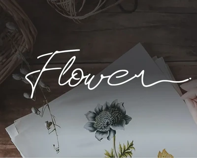 Rosa Signature typeface font