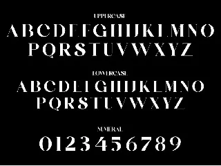 BELINGHAM A Elegant Serif Typeface font