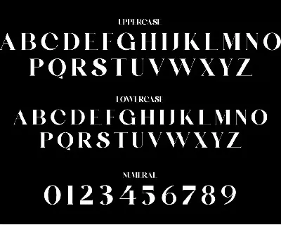 BELINGHAM A Elegant Serif Typeface font