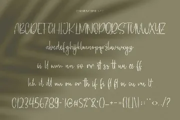 Homeytasty Handwritten Script Font