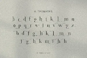 Louries - Modern Elegant Serif font