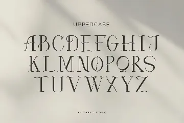 Louries - Modern Elegant Serif font