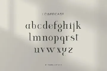 Louries - Modern Elegant Serif font