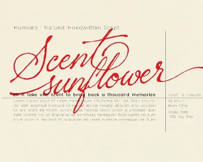 Sacred Letter font