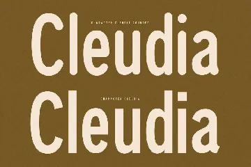 Cleudia Duo Font Modern Sans Serif