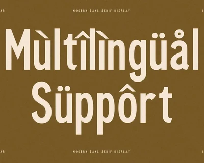 Cleudia Duo Font Modern Sans Serif
