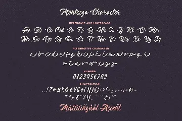 Montsega a Modern Lettering Font