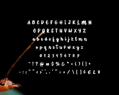 Lost Ant - Handwritten Script Font