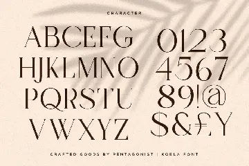 Koela | Modern Serif Font