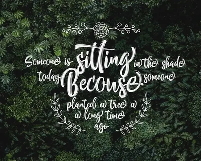 Nettizen - Modern Script font