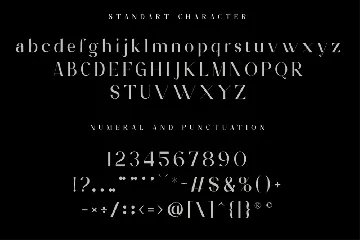 Modern Serif Display Font