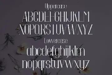 Ditalya - Modern Serif Font