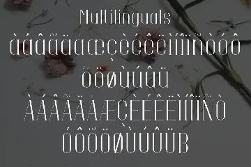 Ditalya - Modern Serif Font