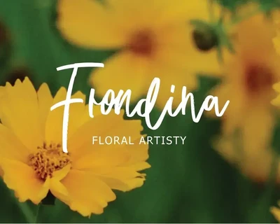Delight Party - Casual Handwritten font