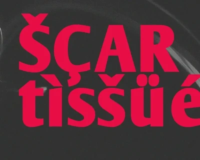 Arkevs Semi Serif Display Font
