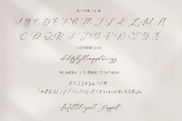Elegant Script Handwritten Signature Font