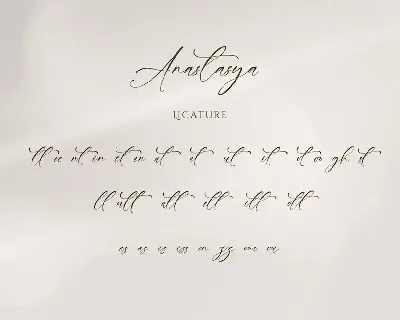 Elegant Script Handwritten Signature Font