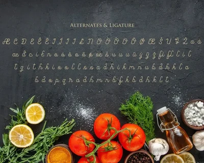 Modern Script Font