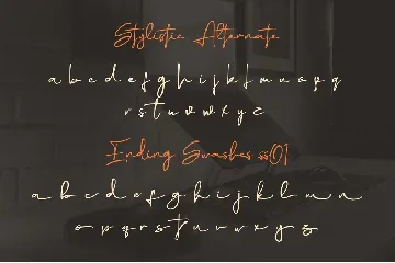 Elegant Script Signature Handwritten Font TNI