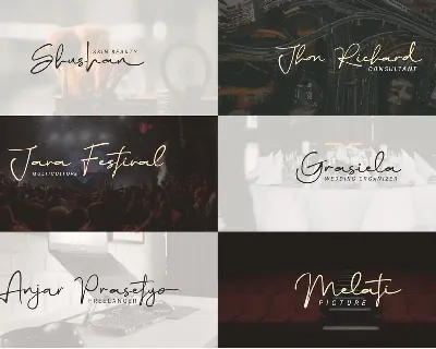 Elegant Script Signature Handwritten Font TNI