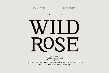 Wild Rose Modern Minimal Serif Font