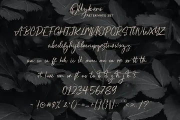 Ollykers Brush Script Font