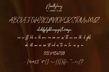 Northyhuny Signature Script font