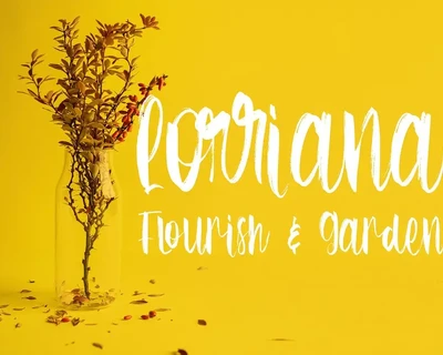 Possibility - Brush Script Font