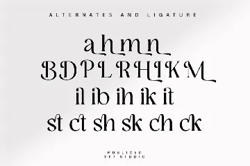 Elegant Serif Font