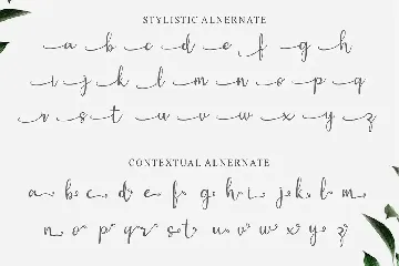Gisella - Handwritten Script Font