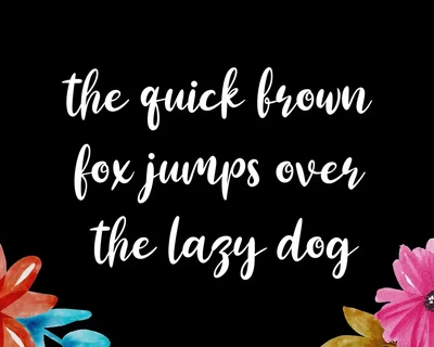 Brushella Font