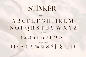 Stinker - Elegant Serif Family font