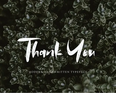 Dermonta Elnara font
