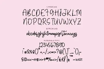 Quintella monoline Script Font