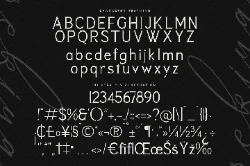 Rekiya Modern Serif Display Font