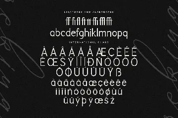 Rekiya Modern Serif Display Font