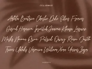Collathives Signature Brush Font