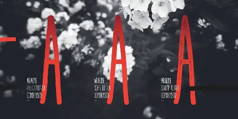 Aracne Ultra Condensed font