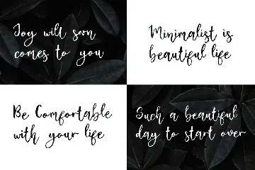 Baggi Script font