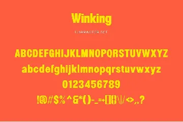 Winking - Modern Sans Serif font