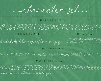 Hanamara font