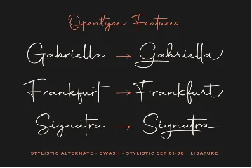 Autography font